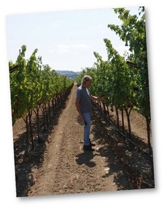 Peter in Howell Mt. Vineyard